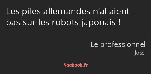 Les piles allemandes n’allaient pas sur les robots japonais !