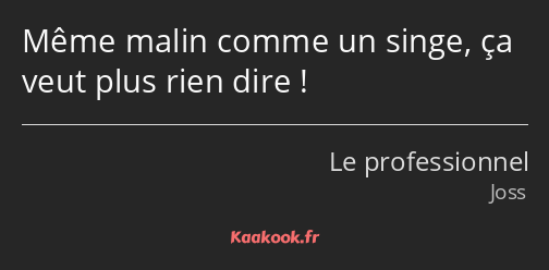Même malin comme un singe, ça veut plus rien dire !