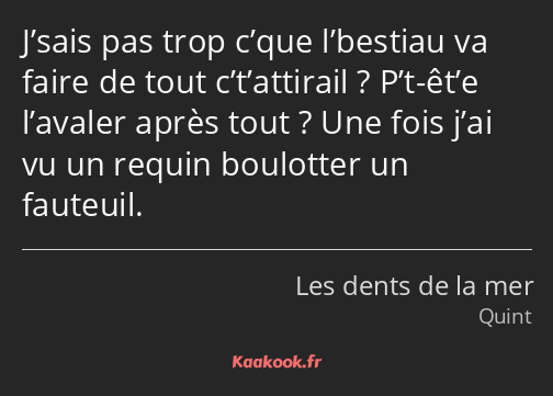 J’sais pas trop c’que l’bestiau va faire de tout c’t’attirail ? P’t-êt’e l’avaler après tout ? Une…