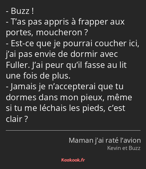 Buzz ! T’as pas appris à frapper aux portes, moucheron ? Est-ce que je pourrai coucher ici, j’ai…