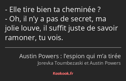 Elle tire bien ta cheminée ? Oh, il n’y a pas de secret, ma jolie louve, il suffit juste de savoir…