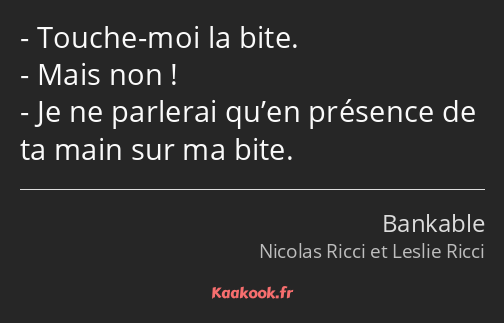 Touche-moi la bite. Mais non ! Je ne parlerai qu’en présence de ta main sur ma bite.