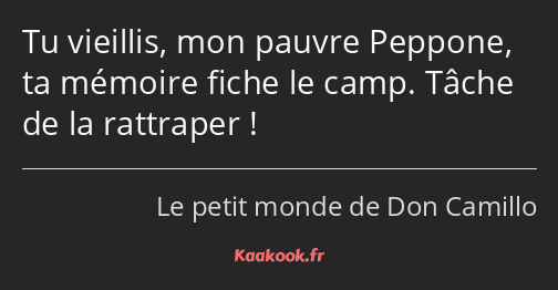 Tu vieillis, mon pauvre Peppone, ta mémoire fiche le camp. Tâche de la rattraper !