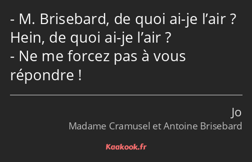 M. Brisebard, de quoi ai-je l’air ? Hein, de quoi ai-je l’air ? Ne me forcez pas à vous répondre !