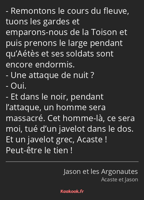 Remontons le cours du fleuve, tuons les gardes et emparons-nous de la Toison et puis prenons le…