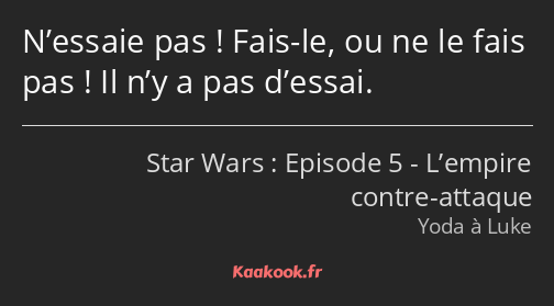 N’essaie pas ! Fais-le, ou ne le fais pas ! Il n’y a pas d’essai.