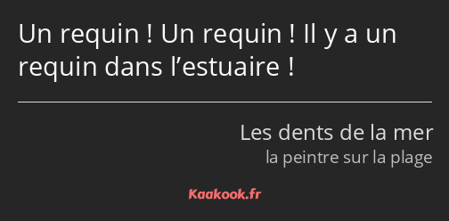 Un requin ! Un requin ! Il y a un requin dans l’estuaire !