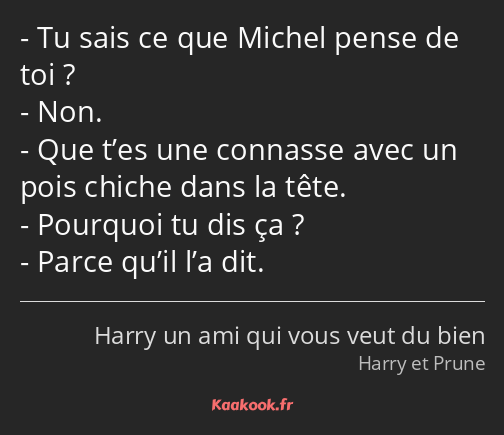 Tu sais ce que Michel pense de toi ? Non. Que t’es une connasse avec un pois chiche dans la tête…