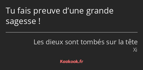 Tu fais preuve d’une grande sagesse !