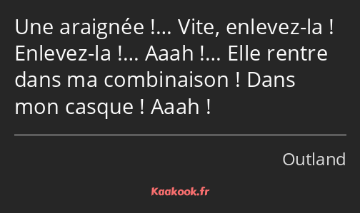 Une araignée !… Vite, enlevez-la ! Enlevez-la !… Aaah !… Elle rentre dans ma combinaison ! Dans mon…