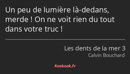 Un peu de lumière là-dedans, merde ! On ne voit rien du tout dans votre truc !