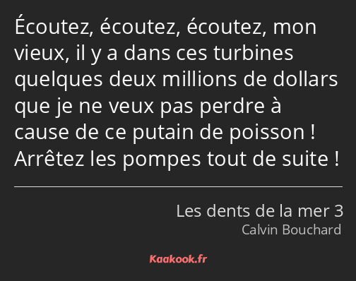 Écoutez, écoutez, écoutez, mon vieux, il y a dans ces turbines quelques deux millions de dollars…