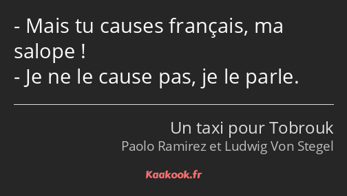 Mais tu causes français, ma salope ! Je ne le cause pas, je le parle.