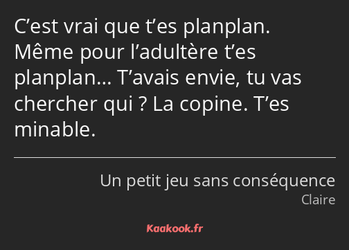 C’est vrai que t’es planplan. Même pour l’adultère t’es planplan… T’avais envie, tu vas chercher…