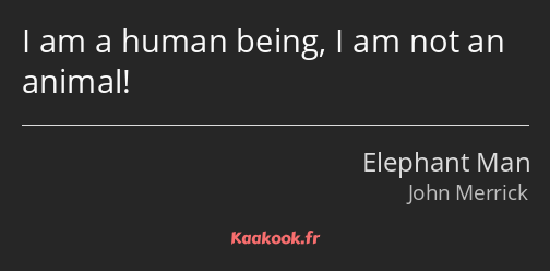 I am a human being, I am not an animal!