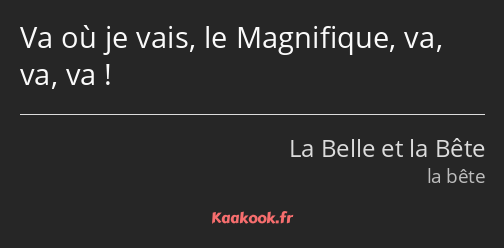 Va où je vais, le Magnifique, va, va, va !