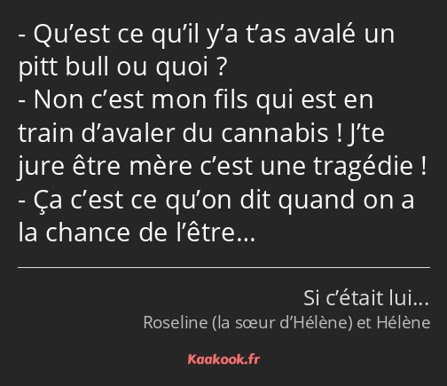 Qu’est ce qu’il y’a t’as avalé un pitt bull ou quoi ? Non c’est mon fils qui est en train d’avaler…