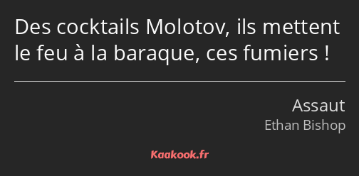 Des cocktails Molotov, ils mettent le feu à la baraque, ces fumiers !