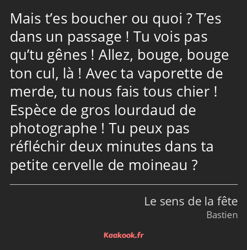 Mais t’es boucher ou quoi ? T’es dans un passage ! Tu vois pas qu’tu gênes ! Allez, bouge, bouge…