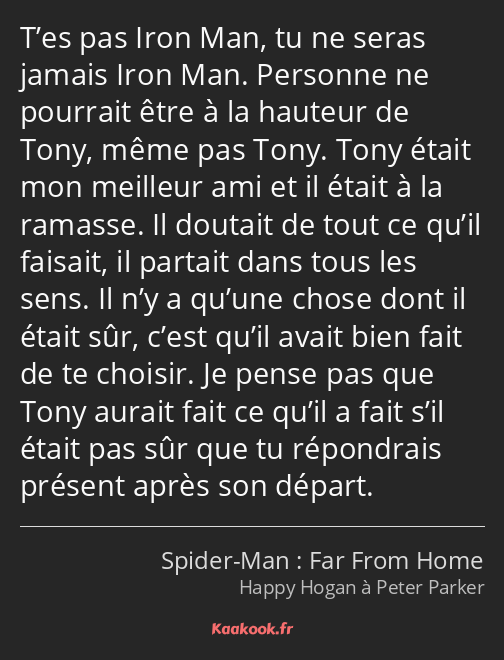 T’es pas Iron Man, tu ne seras jamais Iron Man. Personne ne pourrait être à la hauteur de Tony…