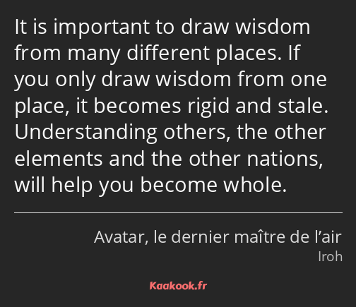 It is important to draw wisdom from many different places. If you only draw wisdom from one place…