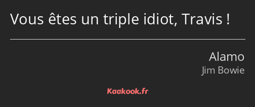 Vous êtes un triple idiot, Travis !