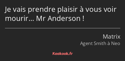 Je vais prendre plaisir à vous voir mourir… Mr Anderson !