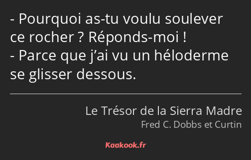 Pourquoi as-tu voulu soulever ce rocher ? Réponds-moi ! Parce que j’ai vu un héloderme se glisser…