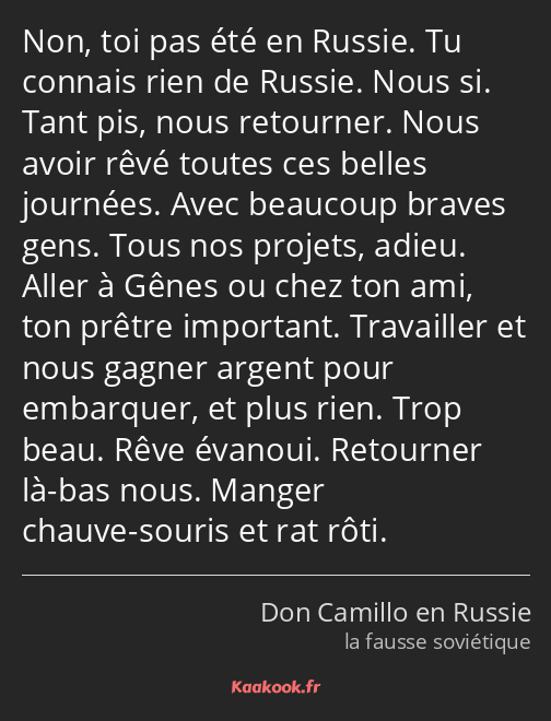 Non, toi pas été en Russie. Tu connais rien de Russie. Nous si. Tant pis, nous retourner. Nous…