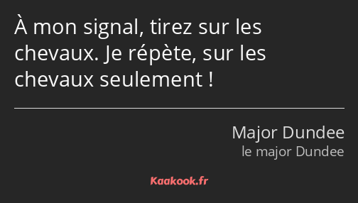 À mon signal, tirez sur les chevaux. Je répète, sur les chevaux seulement !