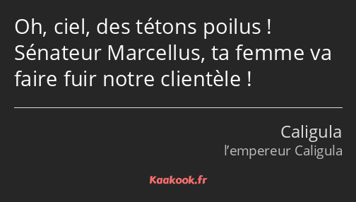 Oh, ciel, des tétons poilus ! Sénateur Marcellus, ta femme va faire fuir notre clientèle !