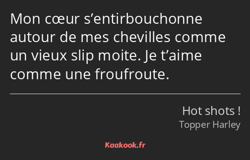 Mon cœur s’entirbouchonne autour de mes chevilles comme un vieux slip moite. Je t’aime comme une…