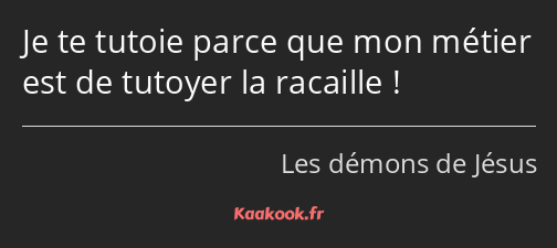 Je te tutoie parce que mon métier est de tutoyer la racaille !