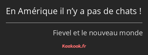 En Amérique il n’y a pas de chats !