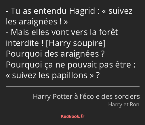 Tu as entendu Hagrid : suivez les araignées ! Mais elles vont vers la forêt interdite ! Pourquoi…