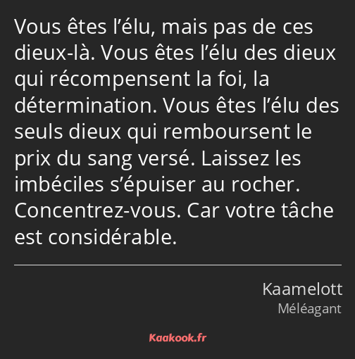 Vous êtes l’élu, mais pas de ces dieux-là. Vous êtes l’élu des dieux qui récompensent la foi, la…