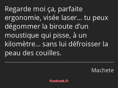 Regarde moi ça, parfaite ergonomie, visée laser… tu peux dégommer la biroute d’un moustique qui…