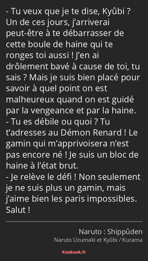 Tu veux que je te dise, Kyûbi ? Un de ces jours, j’arriverai peut-être à te débarrasser de cette…