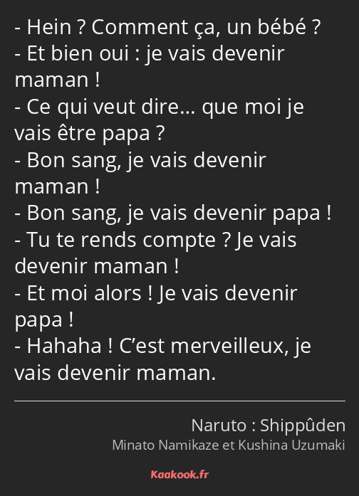 Hein ? Comment ça, un bébé ? Et bien oui : je vais devenir maman ! Ce qui veut dire… que moi je…