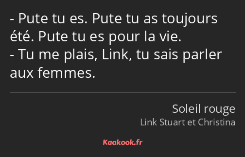 Pute tu es. Pute tu as toujours été. Pute tu es pour la vie. Tu me plais, Link, tu sais parler aux…