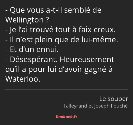 Que vous a-t-il semblé de Wellington ? Je l’ai trouvé tout à faix creux. Il n’est plein que de lui…