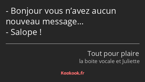 Bonjour vous n’avez aucun nouveau message… Salope !