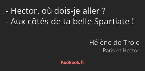 Hector, où dois-je aller ? Aux côtés de ta belle Spartiate !