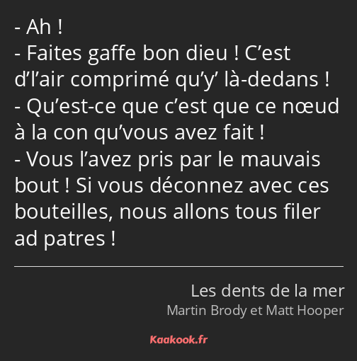 Ah ! Faites gaffe bon dieu ! C’est d’l’air comprimé qu’y’ là-dedans ! Qu’est-ce que c’est que ce…