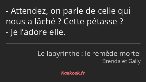 Attendez, on parle de celle qui nous a lâché ? Cette pétasse ? Je l’adore elle.