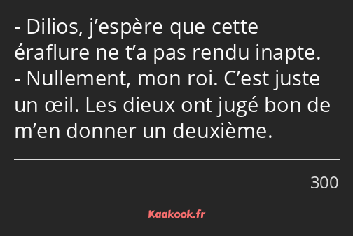 Dilios, j’espère que cette éraflure ne t’a pas rendu inapte. Nullement, mon roi. C’est juste un œil…