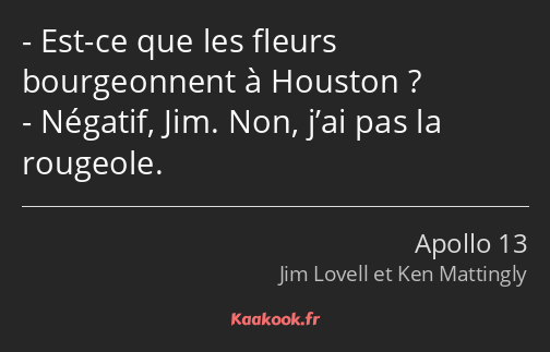 Est-ce que les fleurs bourgeonnent à Houston ? Négatif, Jim. Non, j’ai pas la rougeole.