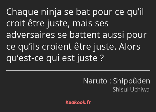 Chaque ninja se bat pour ce qu’il croit être juste, mais ses adversaires se battent aussi pour ce…