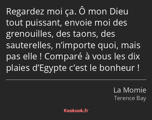 Regardez moi ça. Ô mon Dieu tout puissant, envoie moi des grenouilles, des taons, des sauterelles…