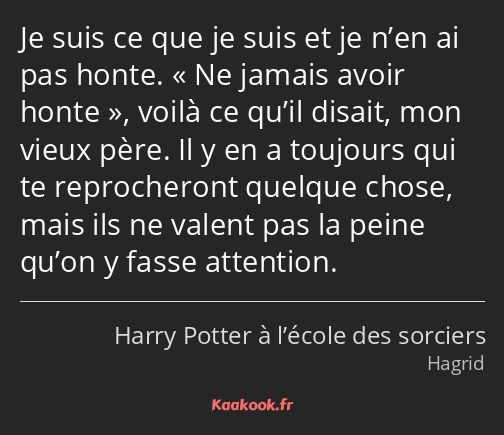 Je suis ce que je suis et je n’en ai pas honte. Ne jamais avoir honte, voilà ce qu’il disait, mon…